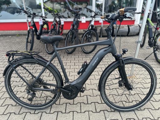Schwarzes Elektrofahrrad mit abgerundetem Rahmen und Gepäckträger auf Pflastersteinen.